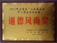 乒乓球比賽風尚獎